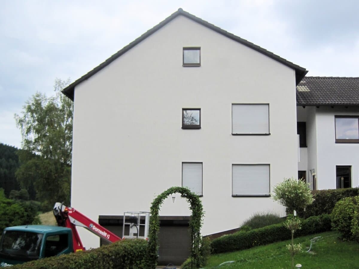 Toitures et cheminées